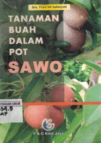 Image of Tanaman Buah dalam Pot Sawo